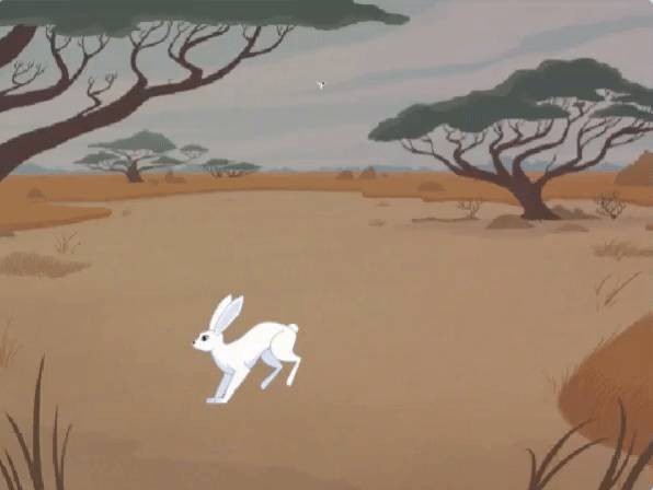 پروژه اسکرچ ساده خرگوش